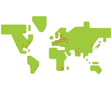 世界地図とネットワーク