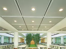 天井（イメージ）