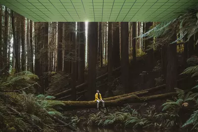 Ecophonの優れた吸音性