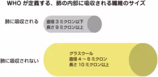 WHOが定義する、肺の内部に吸収される繊維のサイズ