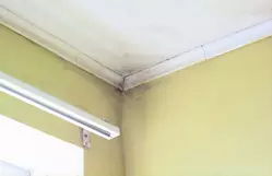 建物 保護