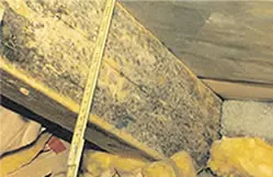 建物保護