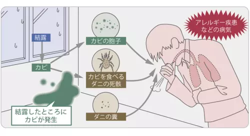 結露による負の連鎖